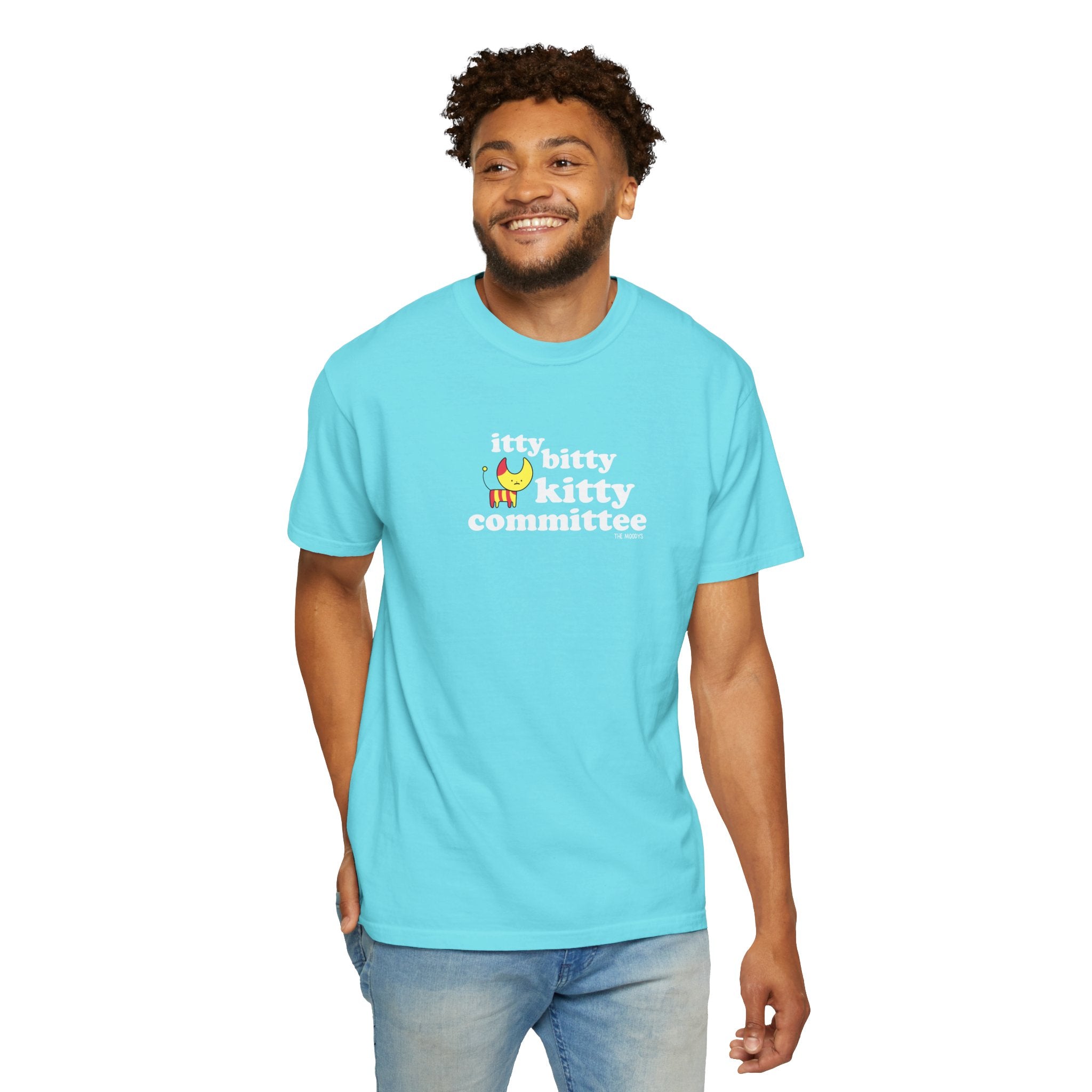 itty bitty kitty committee t-shirt